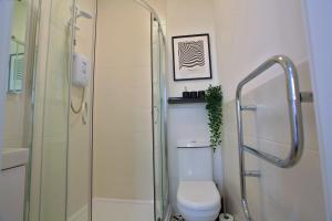 a bathroom with a toilet and a glass shower at St David in Barrow in Furness