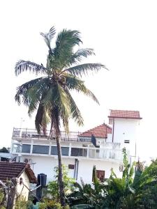 a palm tree in front of a building at Villa de luxe avec piscine in Jaffna