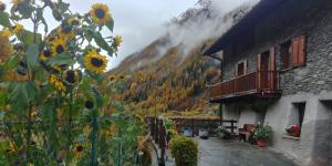 a house with sunflowers in front of a mountain at Le Vieux Creton, Rhêmes-Saint-Georges in Rhemes-Saint-Georges