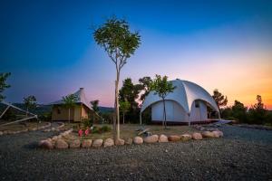 a tent and a tree on a gravel road at iHouseVILLAGE in Polychrono