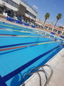 una gran piscina con sillas azules. en Al-Galaa Club en El Cairo