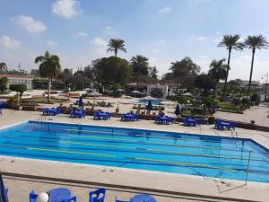 a large swimming pool with blue chairs and palm trees at Al-Galaa Club in Cairo