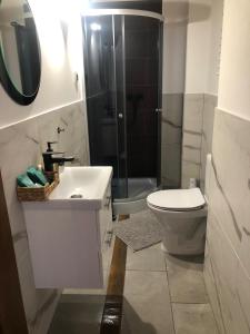 a bathroom with a shower and a toilet and a sink at Agroturystyka Zagroda Miłkowskie in Słopnice +34 photos