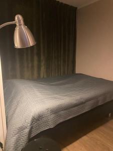 Koselig overnatting, midt i mellom sentrum og marka في Trondalen: غرفة نوم عليها سرير ومصباح