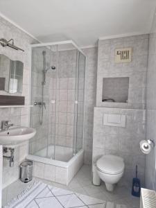 a bathroom with a shower and a toilet and a sink at Haus Kampl - Appartement Ödensee in Obersdorf