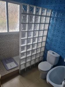 een badkamer met een toilet en een wastafel bij Casa Carmele Tierra del Trigo in La Tierra del Trigo