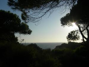a view of the ocean through the trees at Miramar in Mazagón