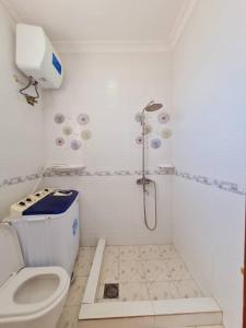 a white bathroom with a shower and a toilet at Home Stay Boutique Zanzibar in Stone Town