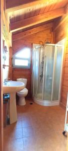 a bathroom with a toilet and a shower and a sink at Farmhouse with pool minutes from beach in Amarinthos