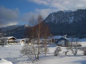 Gallery image of Ferienhäuschen Kathrein in Ehenbichl