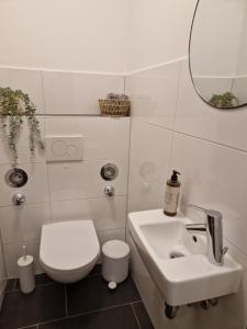 Moderne Wohnung mit Sauna في زولبيتش: حمام ابيض مع مرحاض ومغسلة
