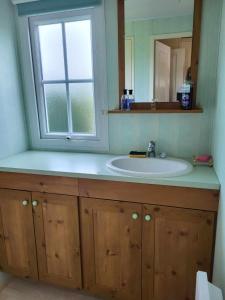 La salle de bains est pourvue d'un lavabo et d'une fenêtre. dans l'établissement Le beau mobilhome, à Deauville