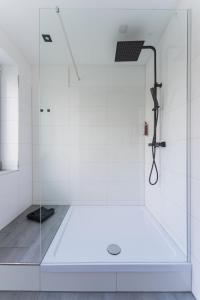 a shower with a glass door in a bathroom at E&K Apartment kleine Bandstraße in Wuppertal