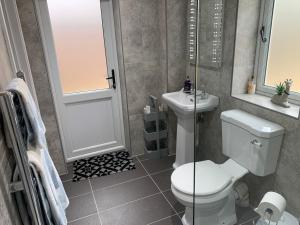 a bathroom with a toilet and a sink at Brand new annexe on border of the Southdowns. in Waterlooville