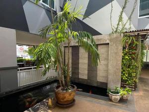 a palm tree in a building with a fish pond at The Grace Residence in Surin