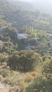 a house on top of a hill with trees at Hideaway @ The Orchard in Alcudia de Monteagud