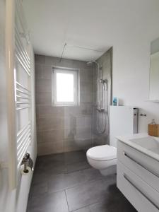 a bathroom with a toilet and a shower and a sink at Tgèsa Dutg Grond in Sedrun