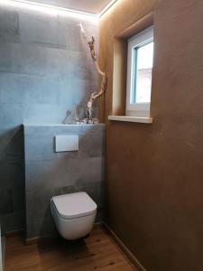 uma casa de banho com um WC branco e uma janela em Ferienwohnung am Bio-Bauernhof Brandner em Schoberegg