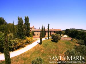 una vista aérea de una villa con cipreses en Agriturismo Santa Maria, en San Venanzo
