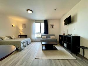 een slaapkamer met een bed, een bank en een televisie bij Zen studio ※ parking - piscine in Carcassonne