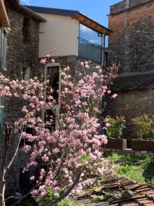 einen Baum mit rosa Blumen vor einem Gebäude in der Unterkunft Vicolo Rosso 2 in Dolceacqua