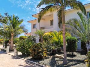 een huis met palmbomen ervoor bij Orchard Blossom Private Villa with Pool in Phrenaros