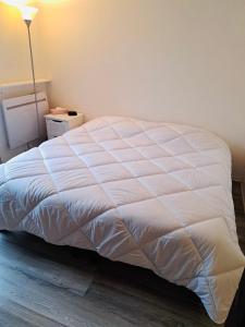 Posteľ alebo postele v izbe v ubytovaní Maisonnette du bonheur