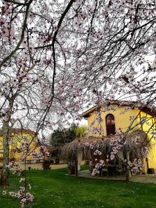 ein gelbes Haus mit rosa Blumen auf einem Baum in der Unterkunft Podere Piandarca in Terranuova Bracciolini