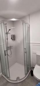 łazienka z kabiną prysznicową i toaletą w obiekcie Ocean Valley View Apartment w mieście Killybegs