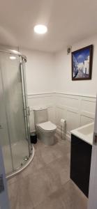 W łazience znajduje się prysznic i toaleta. w obiekcie Ocean Valley View Apartment w mieście Killybegs