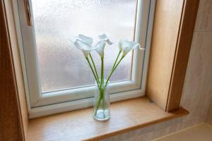 um vaso com flores brancas sentado no peitoril da janela em Gunn House em Grangemouth