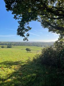 ニューポートにあるTy Odyn. Best of Both Worlds. Rural yet Connected.の手前の木のある緑草原