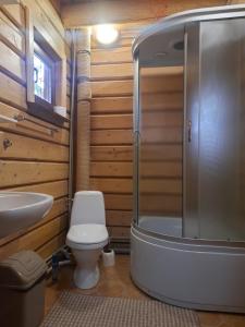 een badkamer met een douche, een toilet en een wastafel bij Карпатський затишок in Oryavchyk