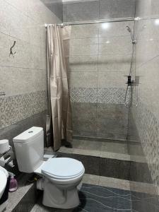 a bathroom with a toilet and a shower at Sayak hostel in Karakol
