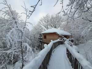 Cabanes du Hérisson, cabanes perchées de standing avec spa v zimě