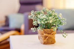 Φωτογραφία από το άλμπουμ του Casa Relax στην Κόστα Κάλμα