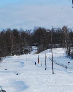 奈舍的住宿－Lövhults Vandrarhem，滑雪者在雪覆盖的滑雪场滑雪