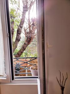 a window with a view of a tree at in paris in Villejuif