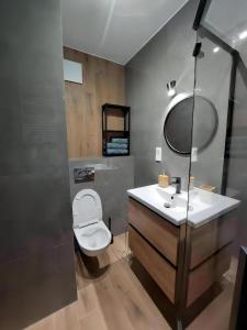 uma casa de banho com um WC, um lavatório e um espelho. em L3 Warsaw Apartments Sauna&Gym em Varósvia
