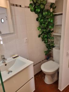 baño con aseo y planta en la pared en Village des Sables 500 mètres de la Méditerranée. en Torreilles