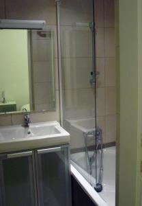 ein Bad mit einer Dusche und einem Waschbecken in der Unterkunft Apartment Mimosa in Kotor