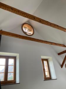 Fotografie z fotogalerie ubytování Paradise Oasis holiday house v destinaci Gornji Grad