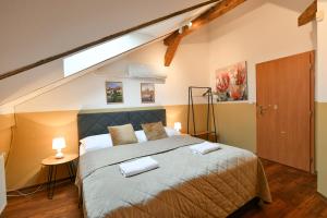 a bedroom with a large bed with a skylight at Amazing Charles Bridge Apartment in Prague