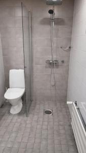 uma casa de banho com um chuveiro e um WC. em Spacious loft apartment with a lake view em Tampere
