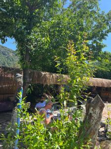 a group of people sitting at a table under a tree at Olympos Çınar Hotel in Olympos