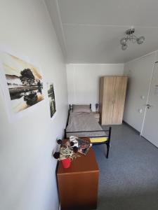 a bedroom with a bed and a dresser in it at Hostel Atena in Skwierzyna
