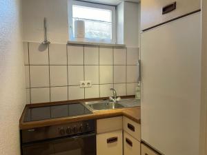 a small kitchen with a sink and a refrigerator at Apartment in Natur und Flughafen Nähe in Nuremberg