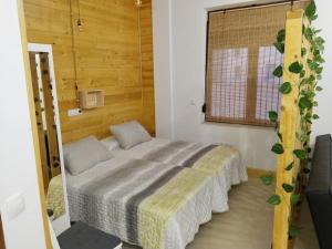 1 dormitorio con cama y ventana en Estudio Mota, 
