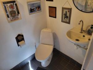 a bathroom with a toilet and a sink at Sydfynsk idyl tæt på det hele. in Svendborg