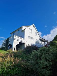 uma grande casa branca no topo de uma colina em Madsgård em Etnesjøen